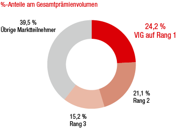 Österreich – Marktanteile der grössten Versicherungsgruppen (Ringdiagramm)